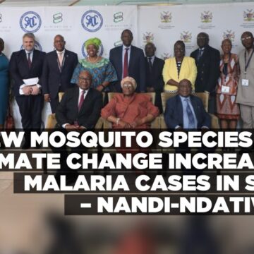 New mosquito species and climate change increasing malaria cases in SADC – Nandi-Ndatiwah