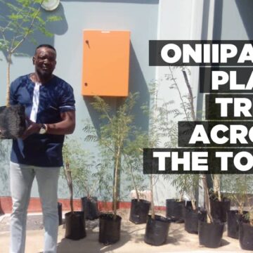 Oniipa to plant trees across the town