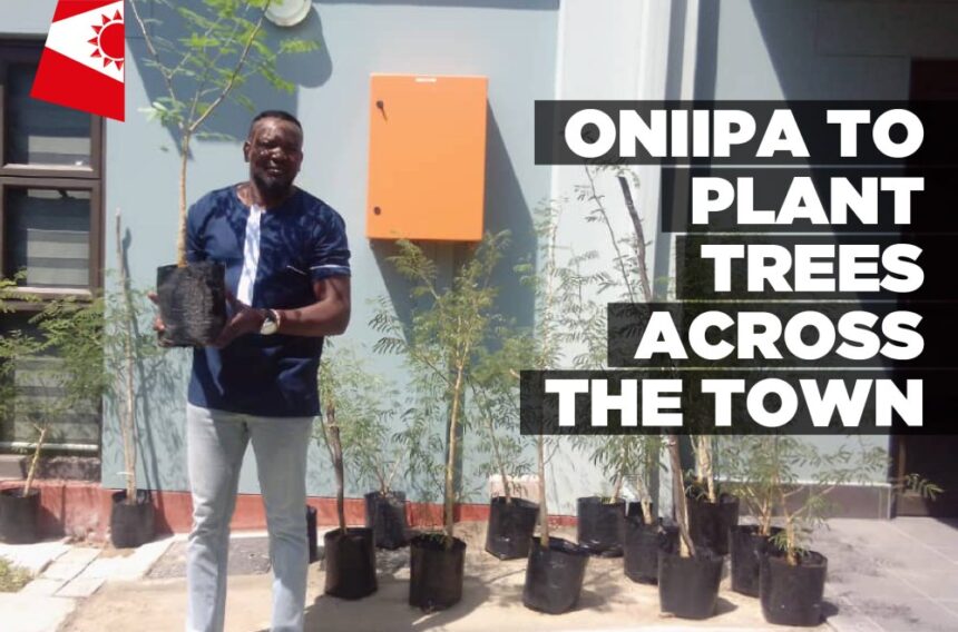 Oniipa to plant trees across the town