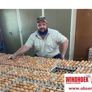 Poultry industry braces for tough times – Windhoek Observer