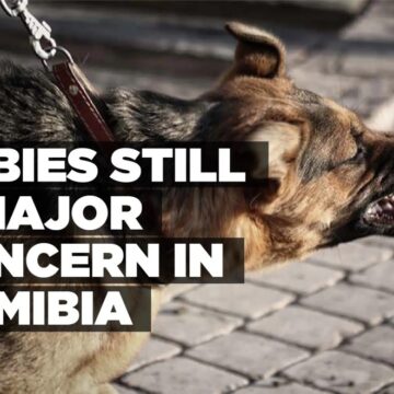 Rabies still a major concern in Namibia