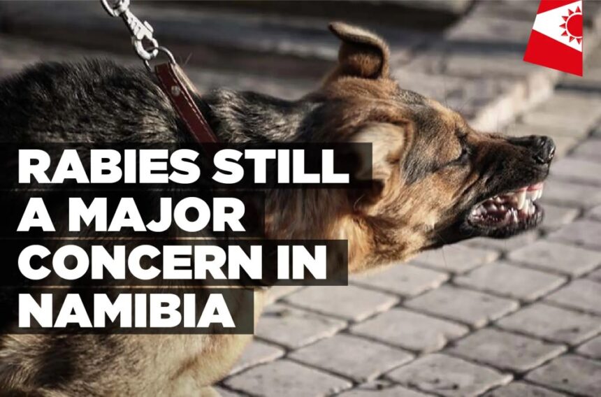 Rabies still a major concern in Namibia