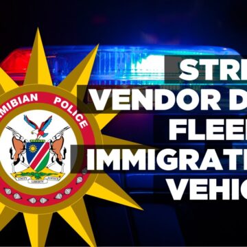 Street vendor dies fleeing immigration vehicle