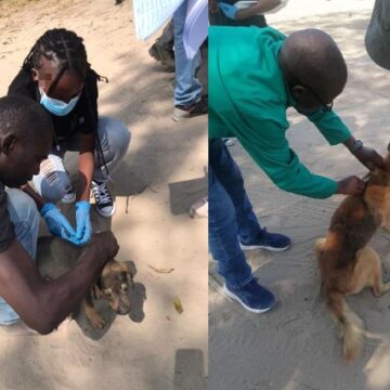 UNAM Students Educate Public About Rabies Prevention – Namibia Daily News