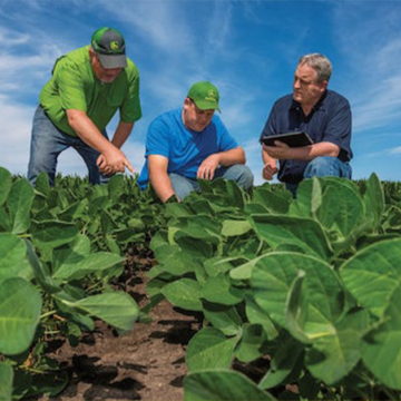 Agronomic producers get levy back pay