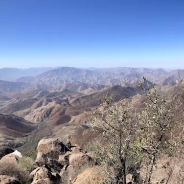 Namibia and Angola’s remote Ovahimba mountains reveal a haven for unique plants – new survey