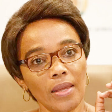 Thieves put gun to SA transport minister’s head