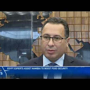 Egyptian experts to assist in food security – nbc