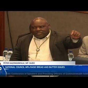 National Council MPs debate bread and butter issues – nbc