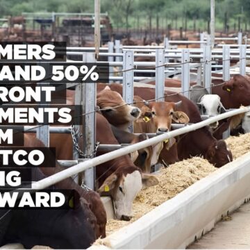 Farmers demand 50% upfront payments from Meatco going forward