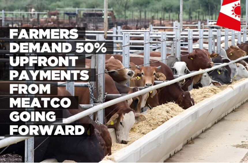 Farmers demand 50% upfront payments from Meatco going forward