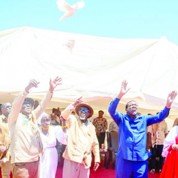 Geingob is ‘above tribes’ – The Namibian