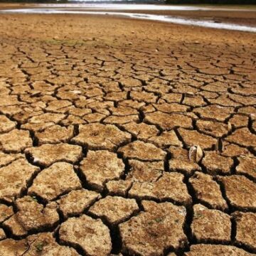 Impacts of Climate Change on Agriculture in Namibia – Namibia Daily News