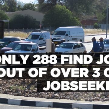 Only 288 find jobs out of over 3 000 jobseekers