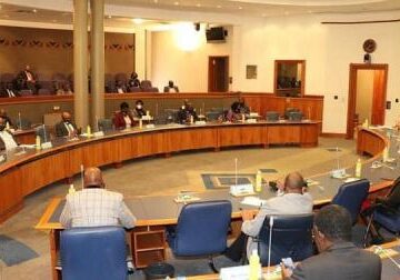 Parliamentary Standing committees commended for their commitment