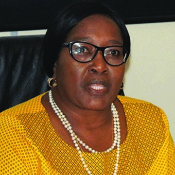 Shiweda calls on whole of SADC to join climate change centre