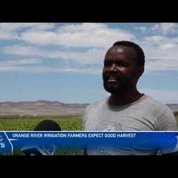 Orange River Irrigation Project expect good harvest – nbc