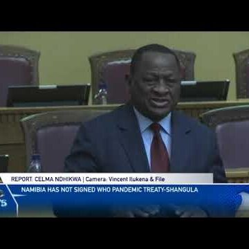 Namibia has not signed WHO pandemic treaty – Shangula