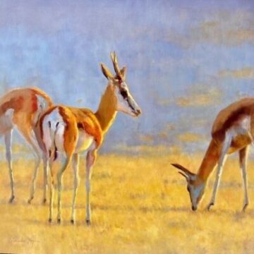 “Desert Songs” exhibition open at Swakopmund’s Fine Art Gallery