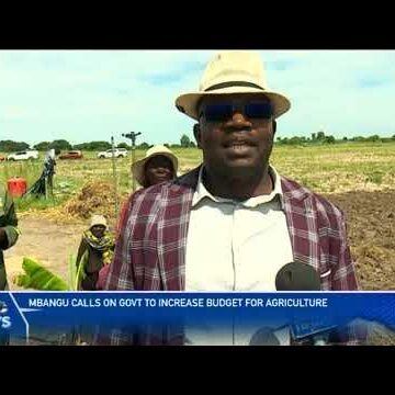 Agriculture in Namibia transfer