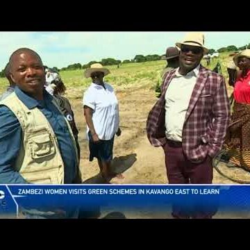 Zambezi women visits green schemes in Kavango East – nbc