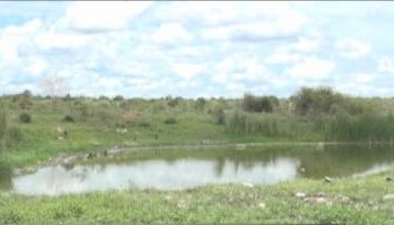 Children warned against swimming in sewer ponds