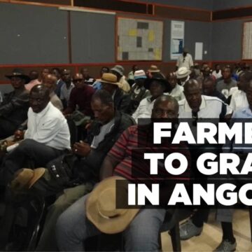 Farmers allowed to graze in Angola