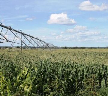 Hardap Dam’s low levels worry farmers