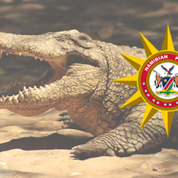 Namibian child attacked by crocodile in Angola