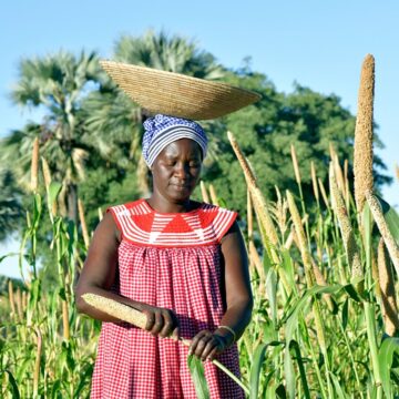 Namibian photograph wins international award – Business Express