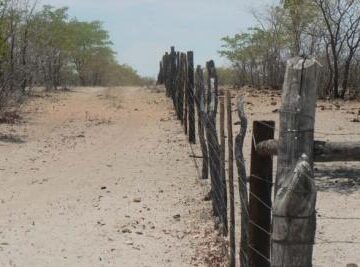 Uukwambi chief speaks against fencing of grazing land