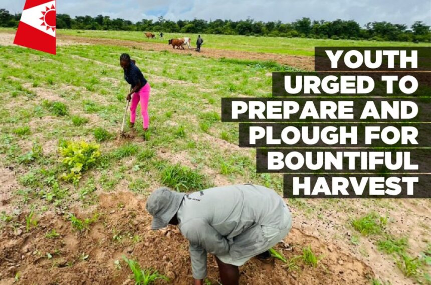 Youth urged to prepare and plough for bountiful harvest