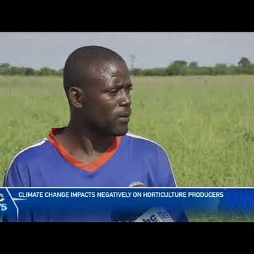 Climate change impacts negatively on horticulture producers – nbc