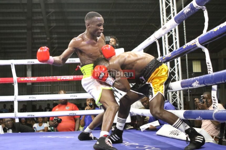 Independence Boxing Bonanza postponed – The Namibian