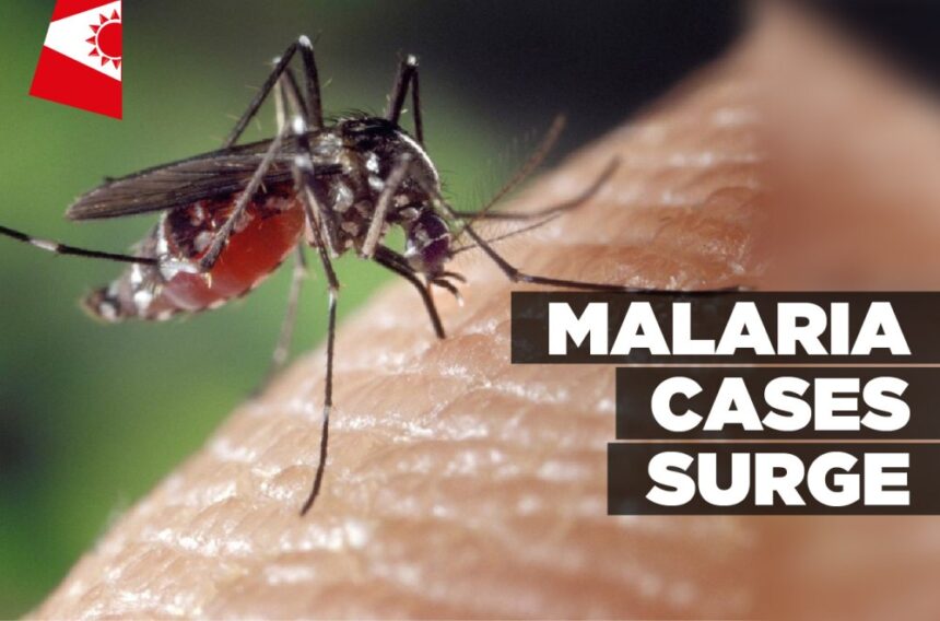 Malaria cases surge – Informanté