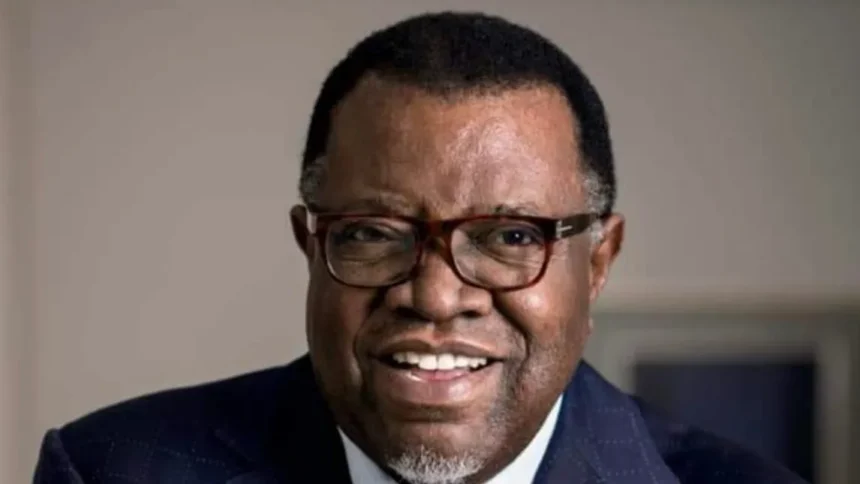 Geingob commended for establishing NIDA and BIPA