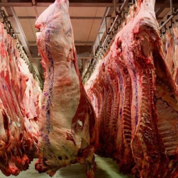 Europe dominates Namibian January beef exports with 79.6% market share