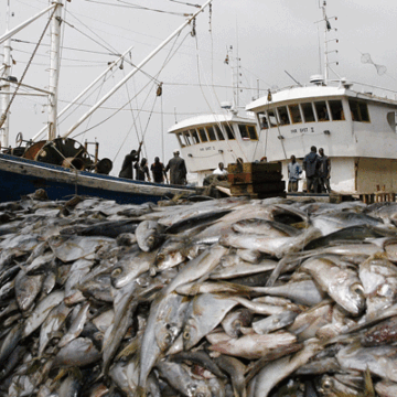 Labour Ministry addresses fishing sector working conditions