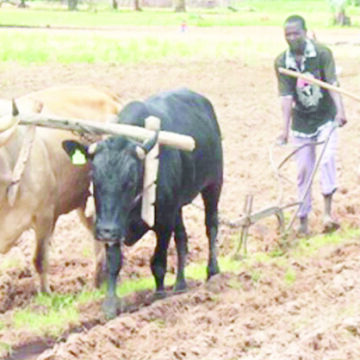 Ohangwena farmers receive equipmentfrom agricultural organisation