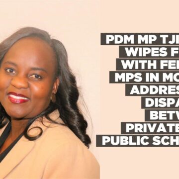 PDM MP Tjirare wipes floor with fellow MPs in motion Addressing disparity between private and public schools