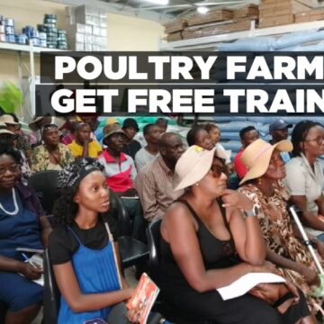 Poultry farmers get free training