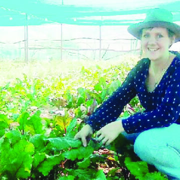 The benefits of organic food for Namibia – Business