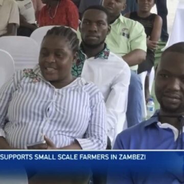 WFP supports small scale farmers in Zambezi – nbc