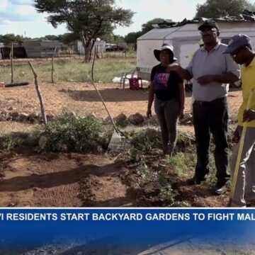 Otavi residents start backyard gardens to fight malnutrition – nbc