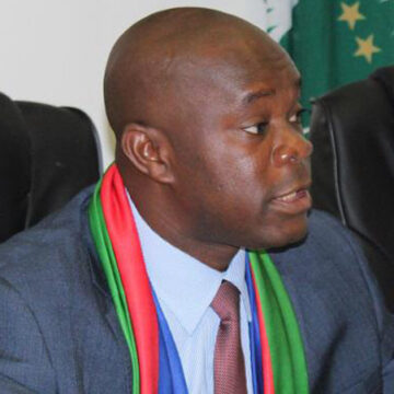 Swapo Party Youth League statement on the disrespectful and undiplomatic behaviour of the Europian Mission to Namibia – Opinion