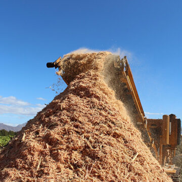 Farmers trained to use hydroponics and encroacher bush for animal feed – Business