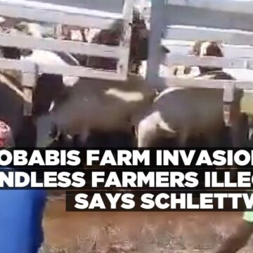 Gobabis farm invasion by landless farmers illegal, says Schlettwein