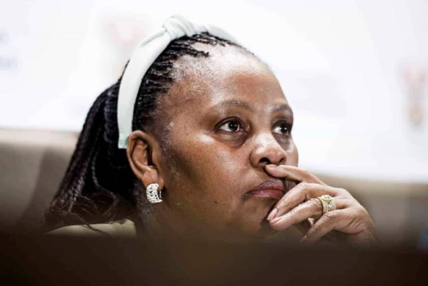 Mapisa-Nqakula resigns from South African parliament – International