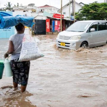 Tanzania floods kill nearly 60 in first half of month – International