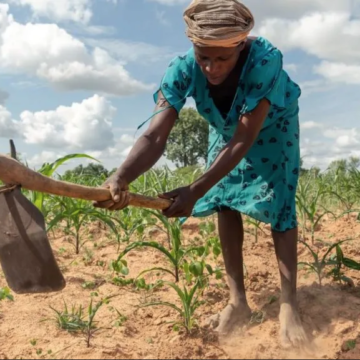 Zimbabwe’s President Mnangagwa declares national disaster over drought – More Top Stories